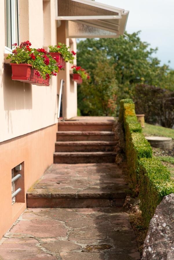 Gite Au Coeur De L'Alsace Maison Gatsby Staffelfelden Kültér fotó